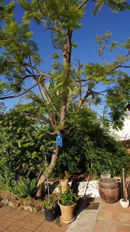 منزل للإقامة شقة Casa Del Cielo فريجيليانا إسبانيا