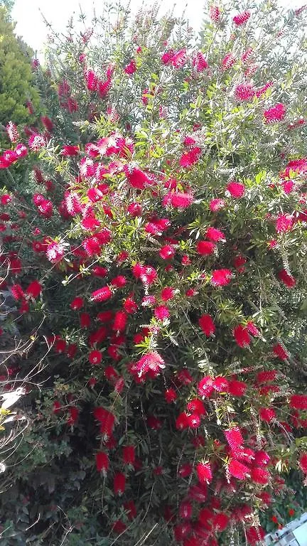 Casa Del Cielo Holiday home Frigiliana Spain
